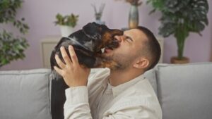 man sitting on sofa holding small dog licking his face indoors